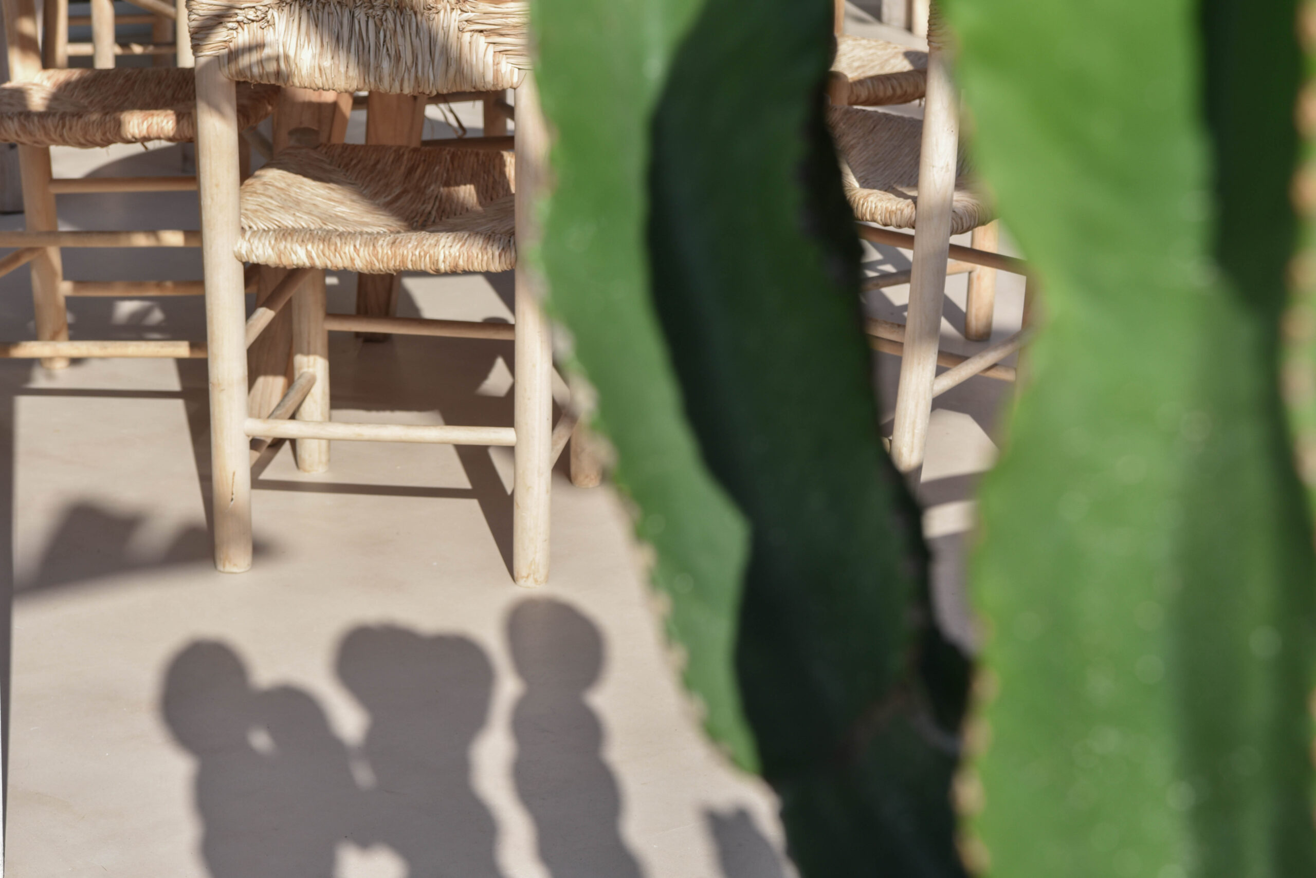 Palmito Beach-43 Hormimpres | Palmito Beach 43 1 scaled
