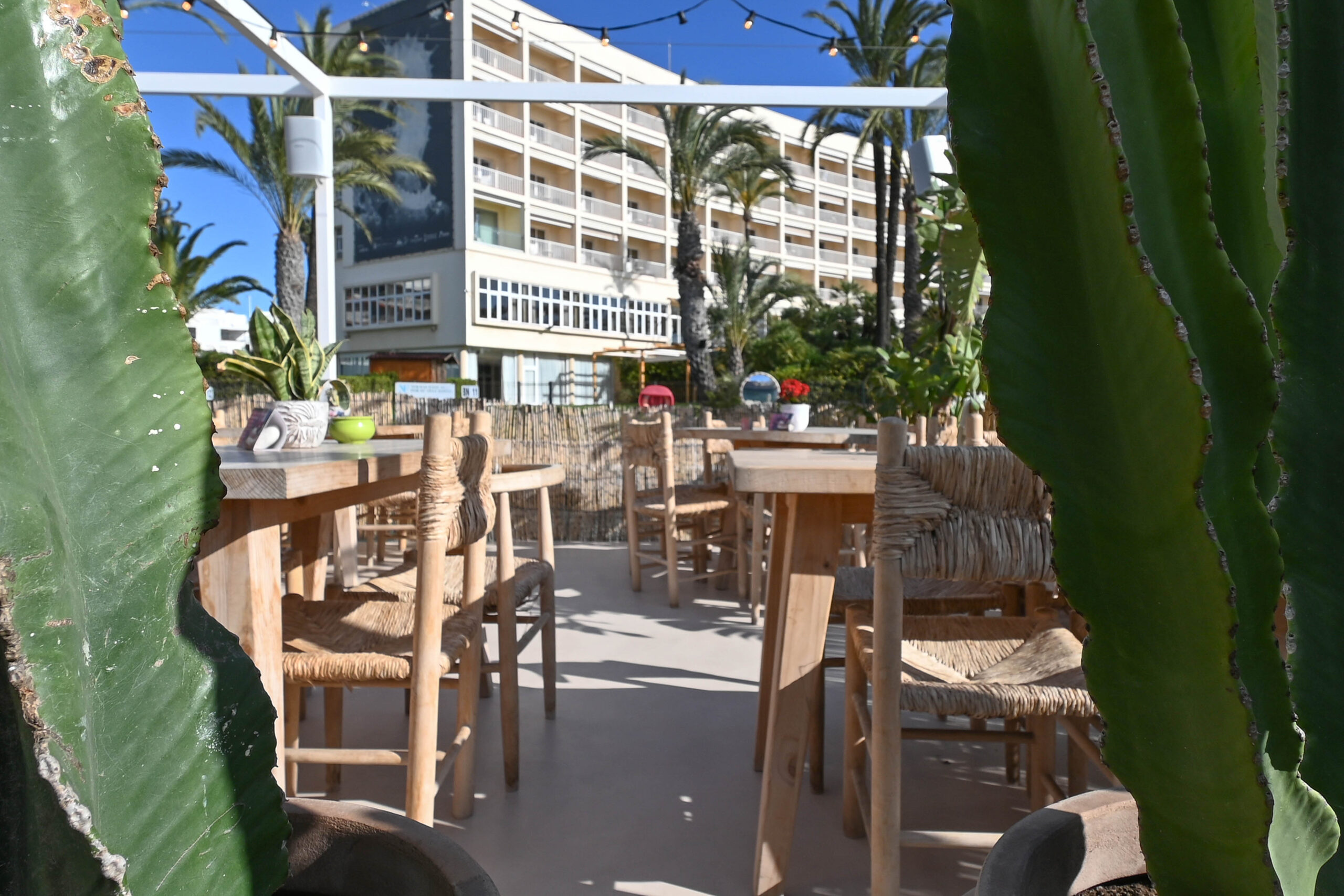 Palmito Beach-55 Hormimpres | Palmito Beach 55 1 scaled